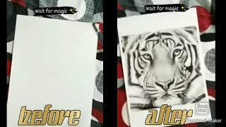 How to draw the Tiger head tribal tattoo Drawing//#shorts #youtubeshorts #paintingwithmukesh #1