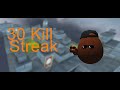 30 Kill Streak! | Shell Shockers