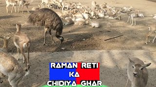 Raman Reti Chidiya Ghar Mathura