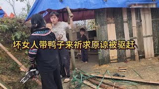 坏女人关了几天被放出来后，抓鸭子去祈求叔叔和孤儿的原谅被赶走