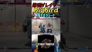 スト6 BigBird 強すぎラシード #streetfighter #ストリートファイター6 #スト6