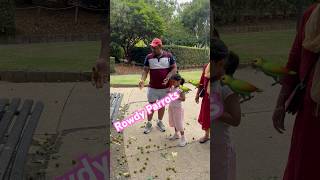 రౌడీ Parrots చూడండి ఎంత పని చేసాయో #jayasreesvlogs #australiateluguvlogs