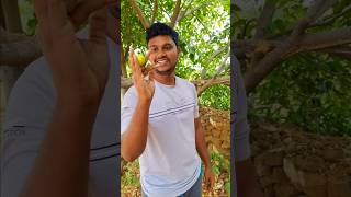 இதுக்கு இவள பவர | #shorts #shortsvideo #viral #comedy #trending #funny  #entertainment