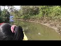 kadalundi boating service bird sanctuary view point sea food