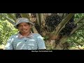 all cosmos industries realstrong television commercial bahasa melayu 2