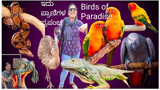 Birds of Paradise# ಈ ಸ್ವರ್ಗದ ಮುಂದೆ ಇನ್ನೇನು ಬೇಡ # ಮಕ್ಕಳನ್ನು ಒಂದು ಸಲ  ಕರ್ಕೊಂಡ್ ಹೋಗಿ #yt