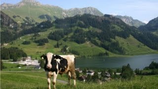 Lyoba - Fryburger Chuereihe (Le Ranz des vaches) , Alphorn- Trio