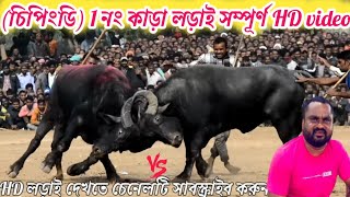 (চিপিংডি)1নং কাড়া লড়াই সম্পূর্ণ HD video দামোদর মাহাত vs লক্ষীকান্ত মাহাত chipingdih karalorai2025