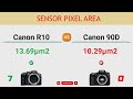 Canon R10 vs Canon 90D Comparison: 11 Reasons to buy the R10 and 8 Reasons to buy the 90D