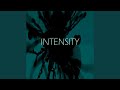 Intensity
