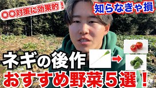 【すごい！】ねぎを収穫した後に植えるだけで〇〇な効果が！？