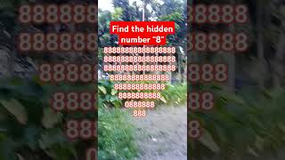 Find the hidden number \