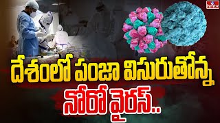 దేశంలో పంజా విసురుతోన్న నోరో వైరస్ | Noro virus found in Kerala | hmtv