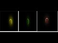 CSS Glowing Gradient Loader Ring Animation Effect || Using HTML & CSS