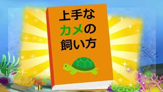 読書の秋【もぐとひめの4コマ劇場】：姫路駅すぐの歯医者さん溝井歯科医院