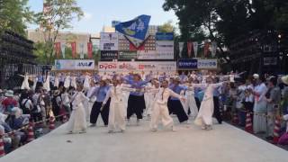 舞龍人 高知よさこい 全国大会 2016