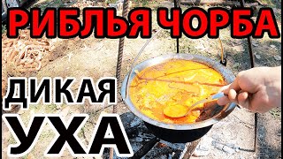 РИБЛЬЯ ЧОРБА - ГЛАВНЫЙ СЕРБСКИЙ СУП! УХА В КАЗАНЕ НА КОСТРЕ У РЕКИ! КАК ПРИГОТОВИТЬ РИБЛЬЮ ЧОРБУ!