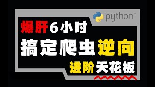 爆肝6小时！！！一套轻松搞定python爬虫逆向进阶的天花板教程！！！全网第一份详解最新字节a_b加密构成 带你从零基础掌握vmp与补环境:爬虫逆向实战进阶 - 详解插桩补环境与字节系jsvmp构成