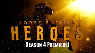 Adoptions Adoptions Adoptions - Horse Shelter Heroes S4E1