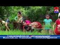 namma kudla tulu news 24x7 sri rama vidya kendra s student in paddy field at kalladka