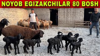 EGIZAKCHILAR VA YOSH SOVLIQLAR KELDI NARXI UDAR BOLDI