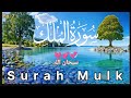 Surah Mulk | Surah Al-Mulk(سورة الملك كاملة) |سورة الملك مكتوبة | Episode -7 | Quran Daily