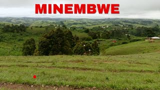 MINEMBWE 🏠UMUNYU Nisukari BIKOMEJE KUBURA Kwa Mulima / UNvA Amakuru