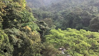 Wayanad Pass/വയനാട് ചുരം വഴി തുഷാരഗിരിയിലേക്ക്