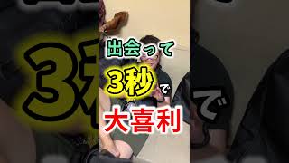 冷やし中華はじめましたみたいなことを言って下さい【出会って3秒で大喜利】#shorts #芸人 #漫才 #大喜利 #出会って3秒で大喜利 #ハイプライド