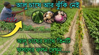 আলু চাষে আর ঝুঁকি নেই।আলু চাষের সাথে সাথী ফসল চাষ করে বাজিমাত করুন।