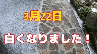 雪からの豊栄