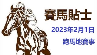 賽馬貼士 跑馬地賽事 (2023年2月1日)