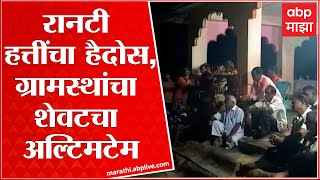 Sindhudurg : सिंधुदुर्गात रानटी हत्तींचा हैदोस, ग्रामस्थांचा वनविभाग शेवटचा अल्टिमटेम