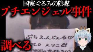 日本国家ぐるみの陰謀「プチエンジェル事件」を調べる