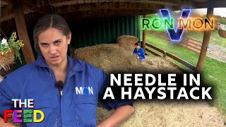 Finding a Needle in a Haystack (literally) | Ron V. Mon