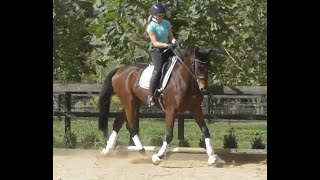 How to sit trot on a bouncy horse