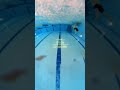 25m butterfly sprint, can you swim faster 🏊‍♂️? #swimtechnique #swimmer