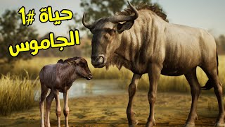 انيمليا سيرفايفل #1 : تزوجت جاموسة وجبت منها عيال || Animalia Survival