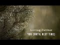 🔘Loving Caliber - You (Until Next Time)🔘Acoustic