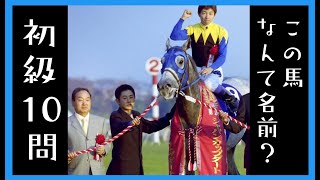 【競馬クイズ】この馬なんて名前？初級１０問　２００１～２０２２年編