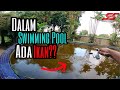 Mancing ikan Talapia/ Nila dalam swimming pool??