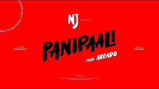 NJ - PANIPAALI-2 (Lyrics)