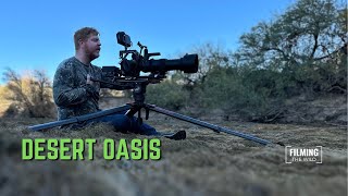 Salt River Wildlife | Arizona | Filming The Wild