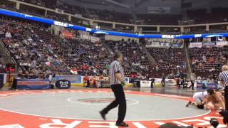 Nazareth's Travis Stefanik wins 2017 PIAA Class 3A wrestling title