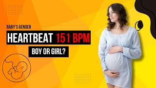 Fetal Heart Rate 151 bpm, Boy or Girl? 🤩 Baby Gender Prediction with Heartbeat