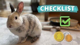 What You Need for a Rabbit | & Budget Tips