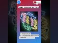 RNA World Hypothesis | RNA Biology and RNA Therapeutics| Origin of Life|Biotechnology: Dr Jyoti Bala