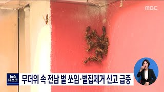 무더위 속 전남 벌쏘임·벌집제거 신고 급증[목포MBC 뉴스데스크]