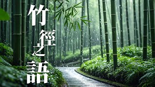 【白噪音】1小时非循环 | 竹径下雨 | 蒙蒙细雨#RainynightflightASMR#治愈#放松#舒缓#自由