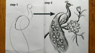 how to draw a peacock step by step,easy peacock drawing,how to draw a peacock by pencil sketch